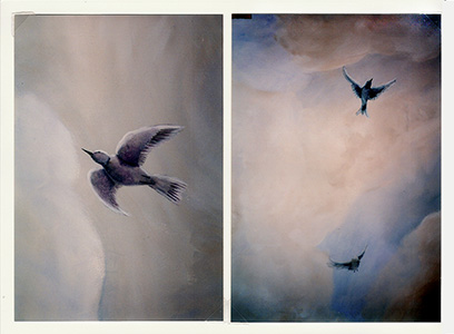 Three birds fly overhead on blue and mauve sky