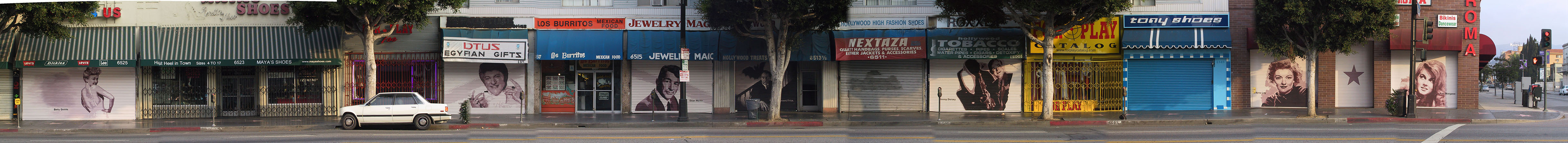 Hollywood Walk of Fame Roll-up Doors